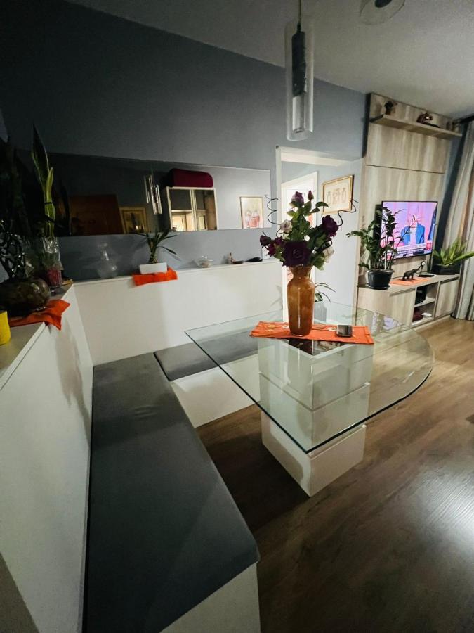 Apartamento Apartamento 1 Dormitório Próximo Ao Mar Em Balneário Camboriú